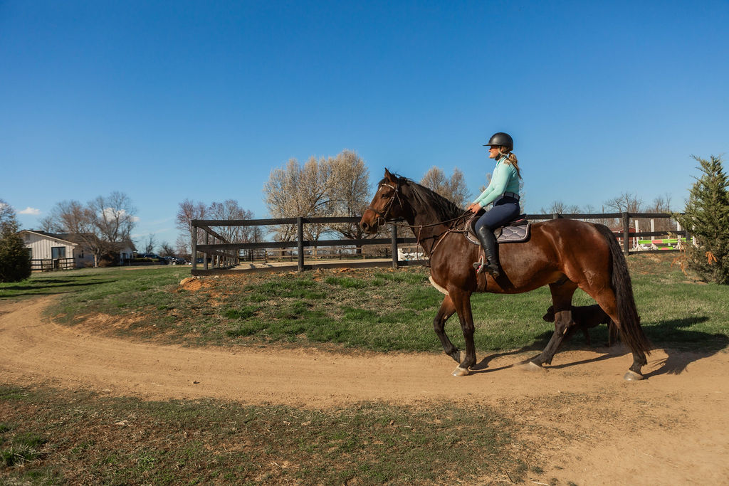 Candid moment at the barn with horses and riders