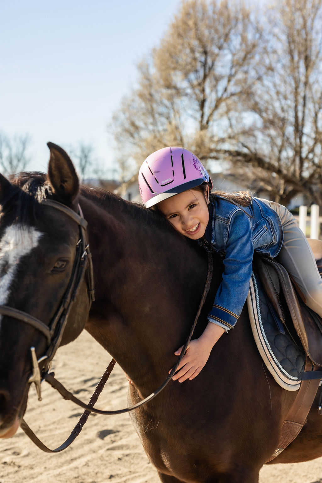 Horses in the paddocks at Serene Acres