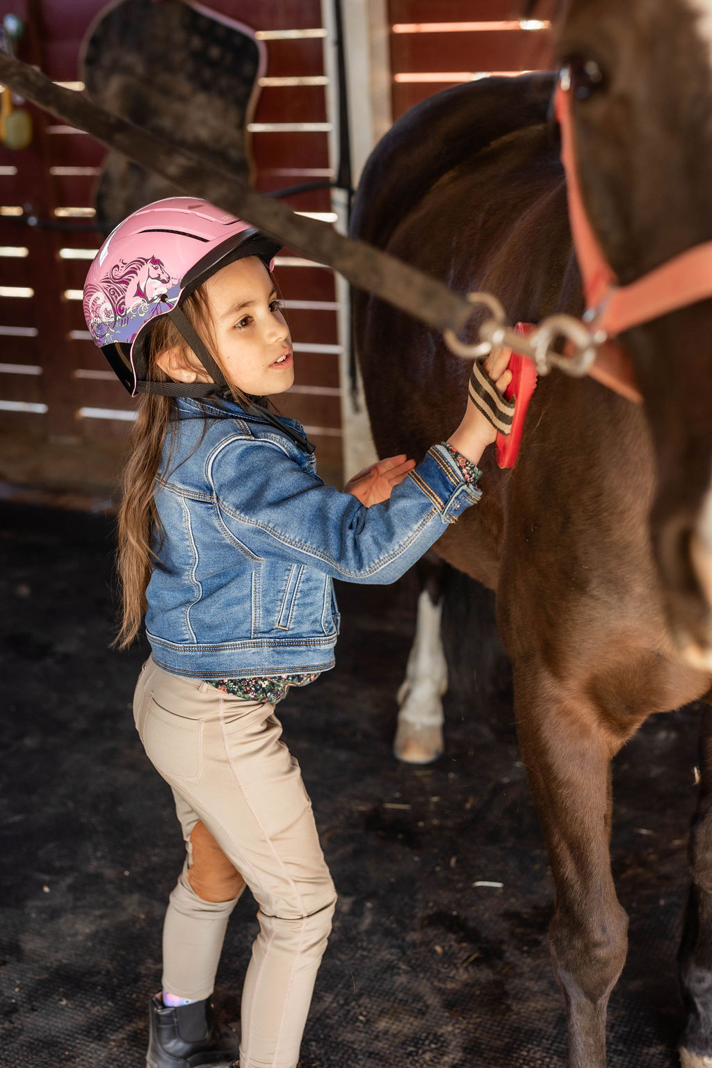 Young rider brushing her horse in the barn